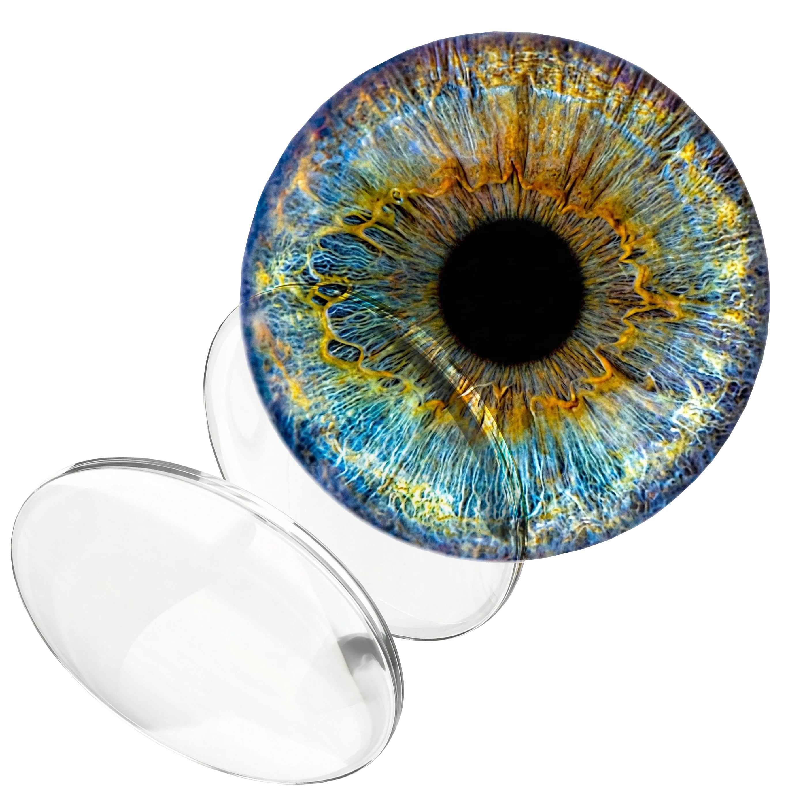 Tecnología de manufactura digital en Caguas