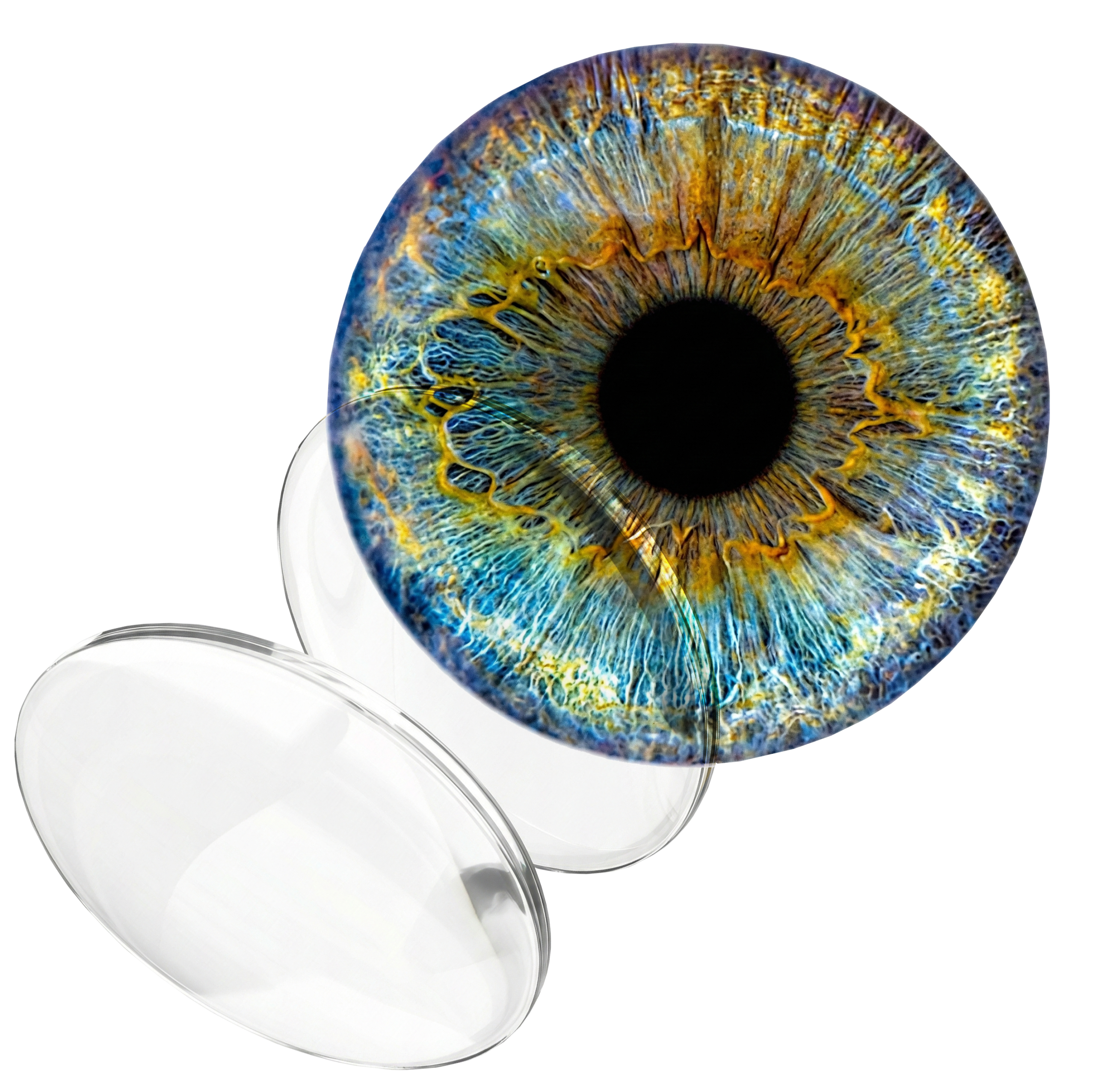 Tecnología de manufactura digital en Caguas